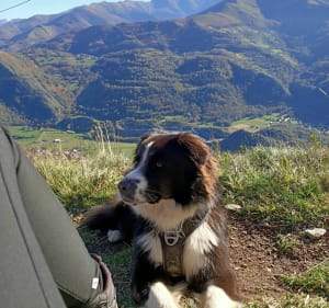 Aller-retour au Pic d'Alian - Ségus - 2