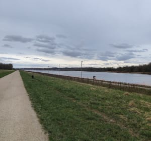 Canal de Chelles et Vaires - Vaires-sur-Marne - 2
