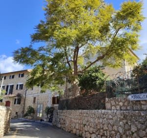 Soller, Fornatlux, Biniaraix - Sóller - 2