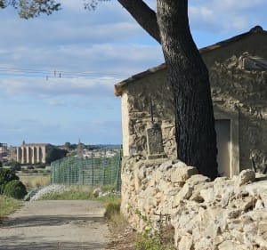 Balade entre Mèze et Loupian - Mèze - 2