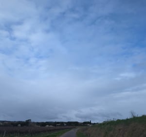 Boucle des vignes d'Alairac - Alairac - 2