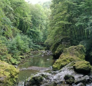 Randonnée à la Cascade du Pas de Cère - Vic-sur-Cère - 2