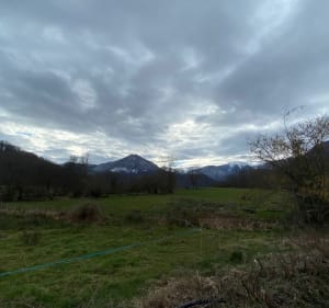 De Siradan à Thébe, balade en forêt - Siradan - 2