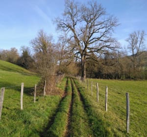Entre Suggères et Isserteaux, par Malpic - Isserteaux - 2
