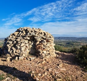 Entre garrigue et bitume à Cournonsec - Cournonsec - 2