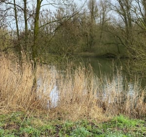 Le Bois de la Gîte en passant par Santes - Houplin-Ancoisne - 2