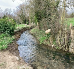 Bourecq et ses cours d’eau - Bourecq - 2