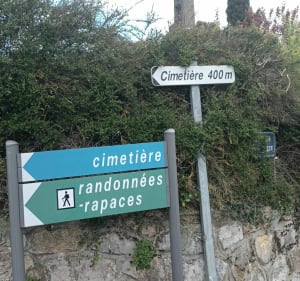 Randonnée pour voir les rapaces à Dalou - Dalou - 2
