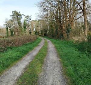 Autour de Férel sur routes et chemins - Férel - 2