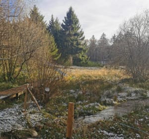 Sentier des Millevaches aux Oussines - Lionel - 3