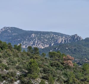 Randonnée autour de la Grotte de la Baume Féré - Cedric - 2