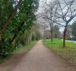 Entre ville et verdure depuis Koenighoffen - Strasbourg - 2