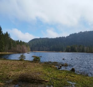 La Bresse - Tour du lac de Lispach - La Bresse - 2