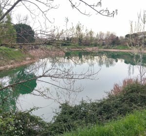 Lac de la Tuilerie - Toulouse - 2