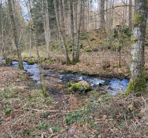 Sur les hauteurs de Raon aux Bois - Sylvie - 3