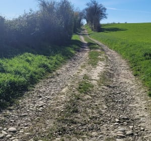 Randonnée de Valencin, par le chemin des Verdaches - Valencin - 2