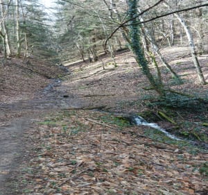 Boucle de Fraisses par le Bois de la Gonnière et la Rivoire - Fraisses - 2