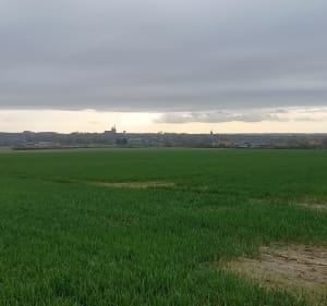 De Paperstraat à Bailleul jusqu'à Meteren - Bailleul - 2