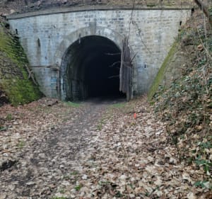 Par routes et chemins à la Roche la Molière - Roche-la-Molière - 2