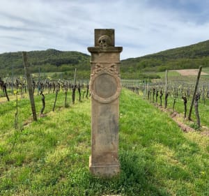 A l’assaut de l’Ortenbourg - Dieffenthal - 2