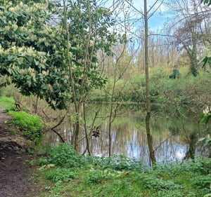 Le marais d'Annezin et le terril de Fouquereuil - Béthune - 2