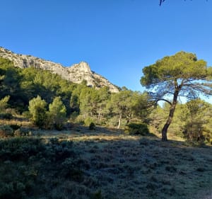 Sentier des échelles par Mont Gaussier et la Chapelle - Saint-Rémy-de-Provence - 3