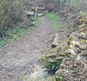 Arroyo de la Ventilla - Arriate - 2