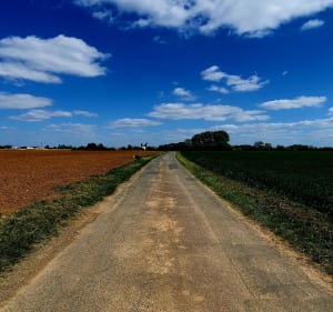 Sentier du Marais de Baude, par Tapecul - Montreuil - 2