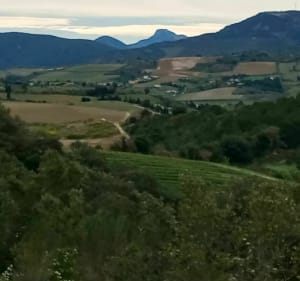 Le Bois de Garde Miel - Gaja-et-Villedieu - 2