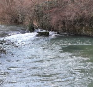 Résurgence de Crézilles - Crézilles - 2