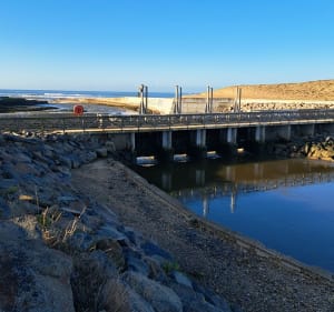 OT Brem: entre marais, forêt d'Olonne, et dunes - Brem-sur-Mer - 2