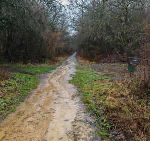Petite balade dans le bois de Châtel-Saint-Germain - Romain - 3