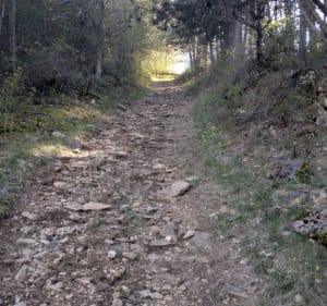 Causse de Mende, par Ravin de la Fon Chapieu et de l'Aigle - Mende - 2