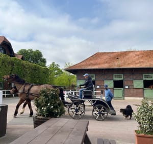 Parc de Saint Cloud et haras de Jardy - Ville-d'Avray - 4