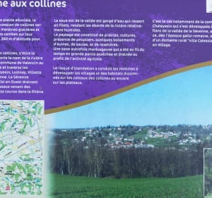 De Luzinay à St Just Chaleyssin : entre coteaux et plaine - Luzinay - 2