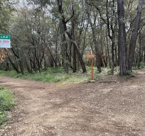 Circuit de Freyourous - Valbonne - 2