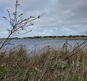 Visitez Guisseny côté mer et marais - Guissény - 2