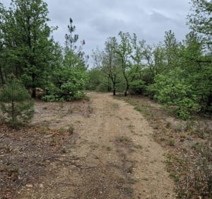 Tour de la retenue de Villeneuve-de-la-Raho - Villeneuve-de-la-Raho - 2