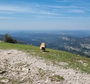 Pic des Mouches depuis le Col des Portes - Vauvenargues - 2