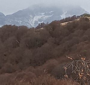 Van Lioran naar Thiézac via Griou - Laveissière - 2