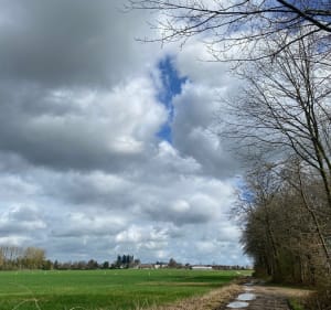 Balade forêt entre Darnétal et Roncherolles - Darnétal - 2