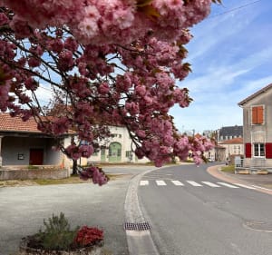 Châteaux et paysages àThorey-Lyautey - Thorey-Lyautey - 2