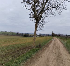Saint-Cybardeaux et ses alentours - Saint-Cybardeaux - 2