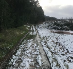 Promenade de Lény à Saint Haon le Chatel - Saint-Haon-le-Châtel - 2