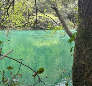 Pont des Tuves au départ des Veyans - Saint-Cézaire-sur-Siagne - 2