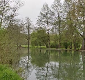Du moulin d'âne à Chantemerle, via le chemin des pêcheurs - Niort - 2