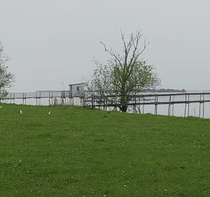 De Lamarque au port de Cussac fort Médoc - Nathalie - 2