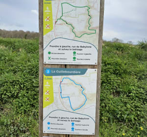 Randonnée dans les bois de la Cerlangue - La Cerlangue - 2