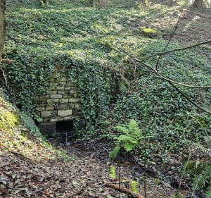 Wandeling Brech en Loc'h via Trézelén - Brech - 2