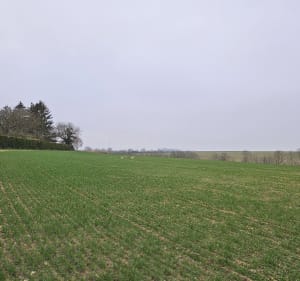 Promenade de Léglantiers par la Bucaille - Yohan - 2